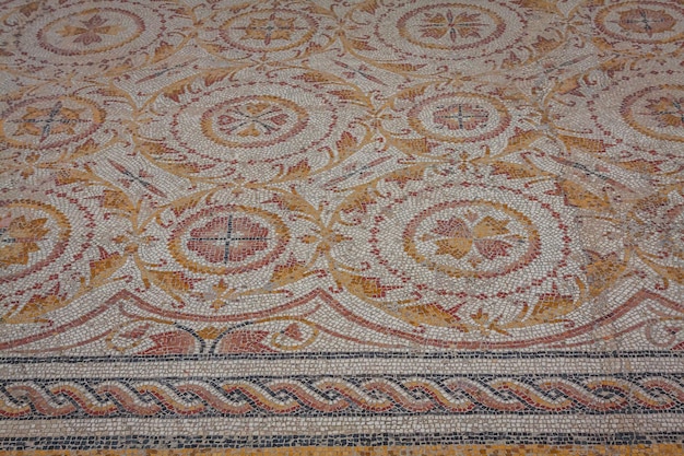 Ancient mosaic floor with intricate floral and geometric patterns in warm tones, featuring repeating medallions and a braided border.