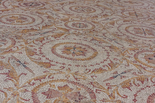 Unveiling India’s Premium Carpet Renaissance: From Kashmiri Silk to Modern Luxury Spaces